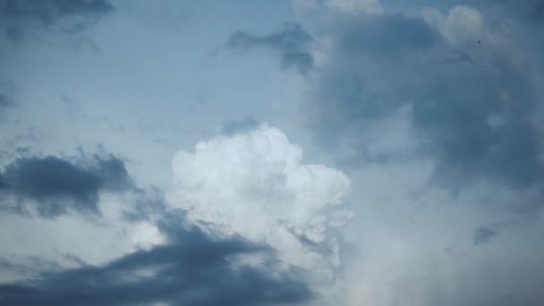 Тімелапс Красивих Пишних Хмар Ядерний Вибух Хмара Вигляді Гриба Дивовижне — стокове відео