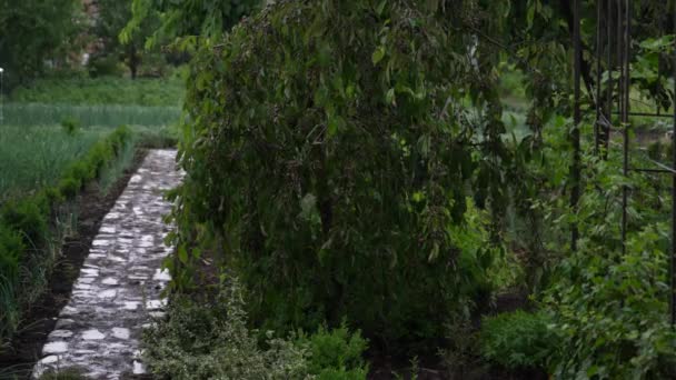 Проливной Дождь Крышу Дома Штормовой Дождь Сельской Местности Грозовые Капли — стоковое видео