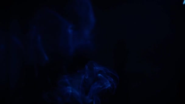 香的枝条在黑色的背景上燃烧和冒烟 香的烟熏 慢动作 — 图库视频影像