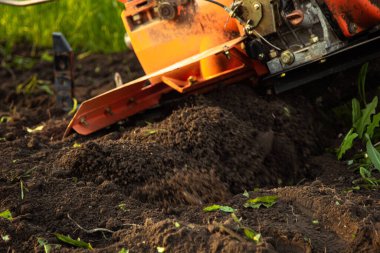 a small agricultural tractor plows the ground, the work of a walk-behind tractor. land treatment for planting