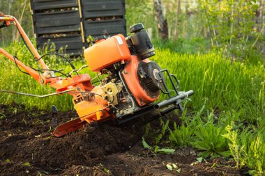 a small agricultural tractor plows the ground, the work of a walk-behind tractor. land treatment for planting