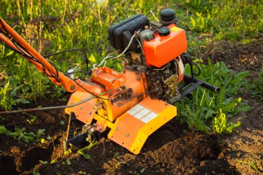 a small agricultural tractor plows the ground, the work of a walk-behind tractor. land treatment for planting
