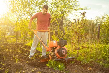 A farmer man works in the field, plowing the land with a plow on the farm. A plowman on a walk behind a motor cultivator. Tillage season. Organic cultivation of natural products. Agriculture