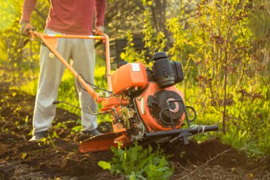 a small agricultural tractor plows the ground, the work of a walk-behind tractor. land treatment for planting