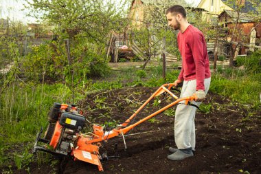 Planting vegetables under the walk-behind tractor. A man with a walk-behind tractor in the garden. Manual work with equipment. An elderly man teaches a young boy to plow the land