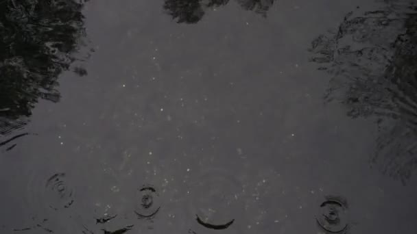 Koin Dilemparkan Dalam Air Bagian Bawah Kolam Berharap Banyak Koin — Stok Video
