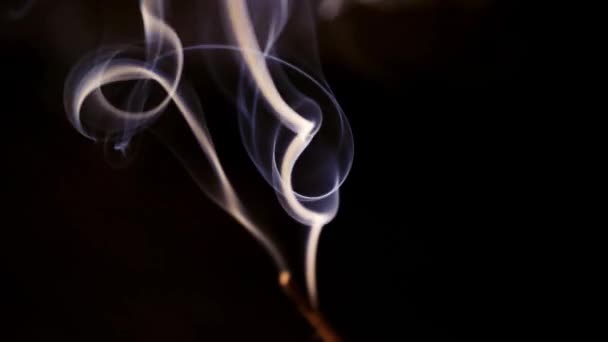 Incense Sticks Burn Smoke Black Background Incense Smoke Slow Motion — Stockvideo