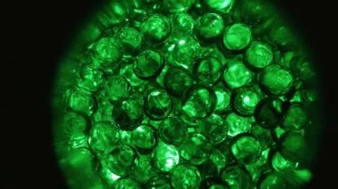 Cell division, formation of morula and embryo. The concept of the ovum, macro video under a microscope. Animation of early embryonic development. Conceptual microbiology in the laboratory