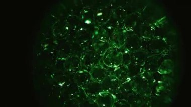 Cell division, formation of morula and embryo. The concept of the ovum, macro video under a microscope. Animation of early embryonic development. Conceptual microbiology in the laboratory