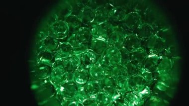 The concept of the ovum. Animation of early embryonic development. Cell division, formation of morula and embryo. Conceptual microbiology in the laboratory. Fertilization