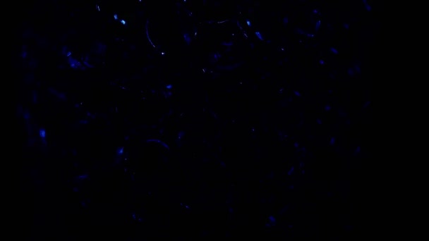 Water Colored Blue Gel Balls Super Macro Bubbles Slow Motion — Stock video