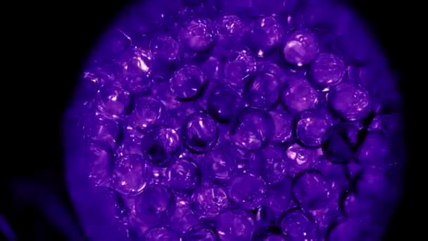 Yumurta Konsepti Erken Embriyonik Gelişimin Animasyonu Hücre Bölünmesi Morula Embriyo — Stok video