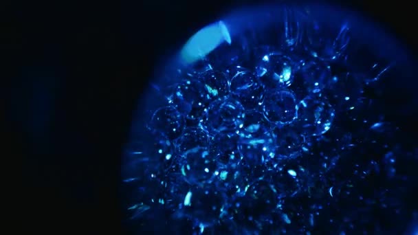 早期胚胎发育的动画 细胞分裂 形成痣和胚胎 实验室里的概念微生物学 Ovum概念 — 图库视频影像