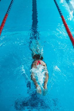 Successful female swimmer swimming in the pool. A professional athlete is determined to win the championship