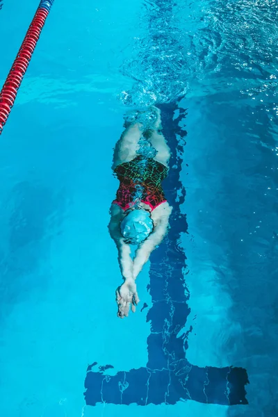 Vista Superior Una Joven Nadadora Entrenando Piscina Nadando Sobre Espalda —  Fotos de Stock