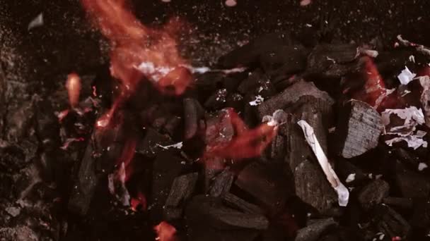 金属製の火鉢で暖かい居心地の良い燃焼火災のクローズアップ スローモーション Hdビデオフォーマット — ストック動画