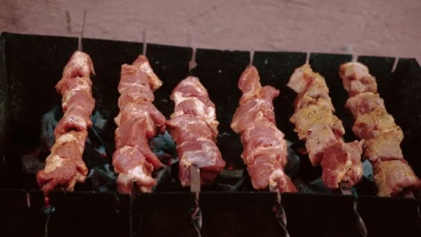 クローズアップフライドポテト肉串焼き 串刺しでバーベキュー バーベキューグリル レジャー 食べ物 コンセプト 男は友人のためにバーベキューグリルで肉を調理します — ストック動画