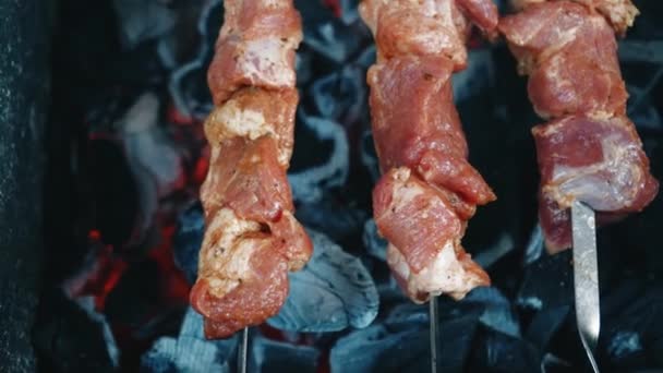 Close Frietjes Vleesspiesjes Barbecue Spiesjes Barbecue Grill Vrije Tijd Eten — Stockvideo