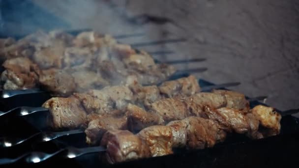 Großaufnahme Pommes Fleischspieße Grillen Spieß Grill Vorhanden Freizeit Essen Leute — Stockvideo