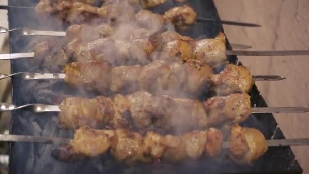 Szaszłyki Mięsa Bliska Grill Szaszłykach Grill Grilla Wypoczynek Jedzenie Ludzie — Wideo stockowe