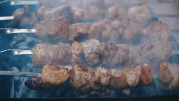 Yakın Plan Şişleri Şişte Barbekü Izgara Izgara Boş Zaman Yemek — Stok video