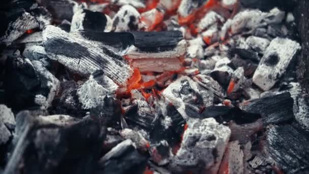Fém Grill Szénnel Grillezett Hús Tűz Parázslik Grillsütőben Piknik Természetben — Stock videók