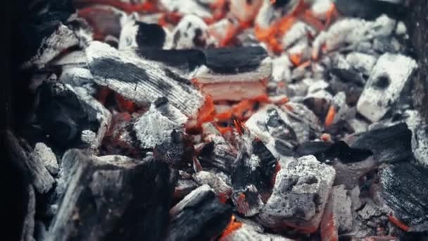 Grelha Metal Com Carvão Carne Grelhada Fogo Está Arder Braseiro — Vídeo de Stock