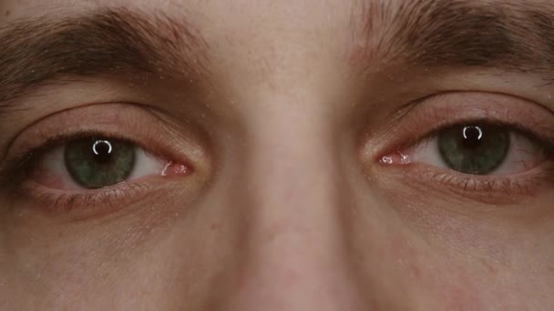 Zielone Oczy Bliska Kapilarami Koncepcja Okulistyki Medycyny Widoki Różnych Kierunkach — Wideo stockowe