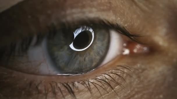 绿眼睛近视与毛细血管 眼科和医学的概念 超级大眼睛 大瞳孔对不同方向的看法 — 图库视频影像