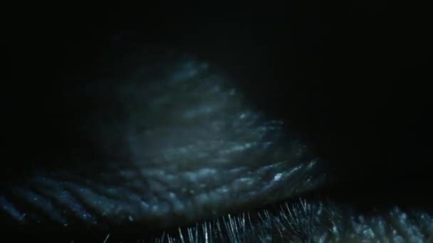 Kılcal Damarlarla Yeşil Göz Yakın Plan Ürkek Bir Bakış Optalmoloji — Stok video