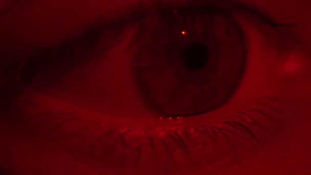 緑の虹彩で目を閉じる 健康的なビジョンの概念 赤い光の中の男性の青い目 ナイトクラブの若い男 人間の目のマクロビュー 陶酔感 — ストック動画