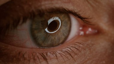 Kılcal damarlarla yeşil göz yakın plan. Ürkek bir bakış. Optalmoloji ve tıp kavramı. Ekstrem makro göz. Sinematik tonlama ile görüntü