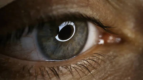 Green Eye Close Capillaries Concept Ophthalmology Medicine Extreme Macro Eye — Stock Photo, Image