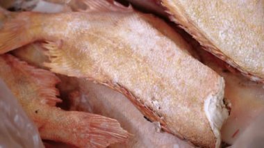 Taze çiğ somon, mersin balığı, dorado balığı ve deniz levreği balık pazarında buzla tezgahta yatıyor. Bir deniz ürünleri dükkanında açık raf. Yakın plan.