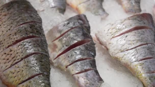 杂货店柜台上的新鲜生鱼片和冰鲈鱼的特写 — 图库视频影像
