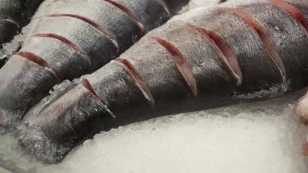 Close Ikan Dorado Mentah Segar Dan Bass Laut Dalam Meja — Stok Video