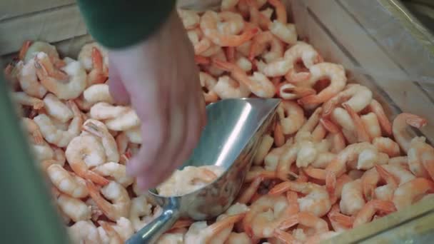 Udang Beku Merah Muda Dengan Supermarket Atau Toko Ikan Hidangan — Stok Video