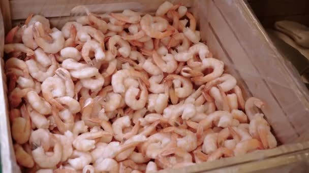 Růžová Čerstvé Mražené Krevety Ledem Obchodě Supermarketu Nebo Ryb Syrové — Stock video