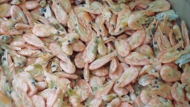 Różowy Świeże Mrożone Krewetki Lodem Sklepie Supermarkecie Lub Ryb Surowe — Wideo stockowe