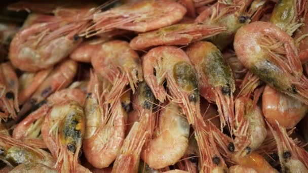 Růžová Čerstvé Mražené Krevety Ledem Obchodě Supermarketu Nebo Ryb Syrové — Stock video