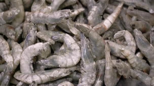 Crevettes Fraîches Congelées Roses Avec Glace Dans Supermarché Une Poissonnerie — Video