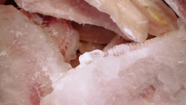 Φρέσκος Ωμός Σολομός Οξύρρυγχος Dorado Ψάρια Και Λαβράκι Βρίσκονται Στον — Αρχείο Βίντεο