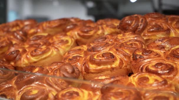 Ряди Теплих Хлібобулочних Роликів Виставі Пекарні Стоять Місцевому Магазині — стокове відео