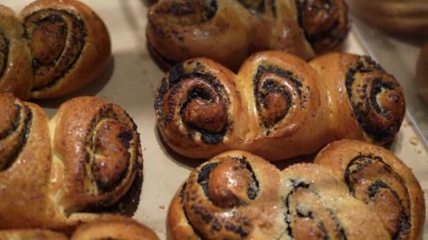 Rangées Rouleaux Pain Fraîchement Cuits Chauds Exposés Dans Stand Boulangerie — Video