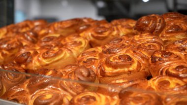 Yerel Market 'teki Fırın standında sergilenmekte olan Sıcak Taze Ekmek Ekmekleri Sıraları