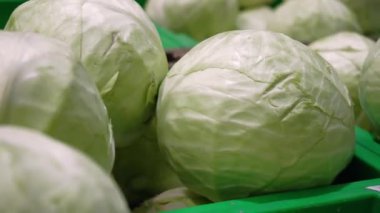 Bir tarım dükkanının tezgahında sulu, taze, beyaz bir lahana. Toplama, depolama ve tarım ürünleri satışı. Yakın plan. Sağlıklı beslenme kavramı