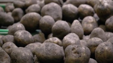 Süpermarkette tezgahta patates sepeti. 4K atışının hareketi. Yiyecek, doğa, tarım. Sağlıklı beslenme kavramı