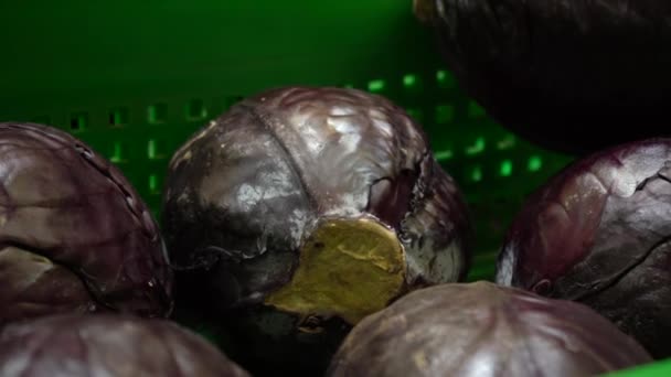 在一家农产品商店的柜台上有多汁的新鲜蓝菜 农作物的收集 储存和销售 健康饮食的概念 — 图库视频影像