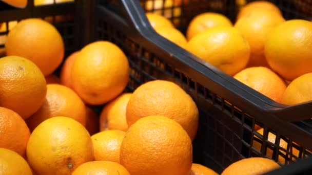 Carreteras Contenedores Con Frutas Naranjas Maduras Pasaje Alimentos Supermercado Frutas — Vídeos de Stock