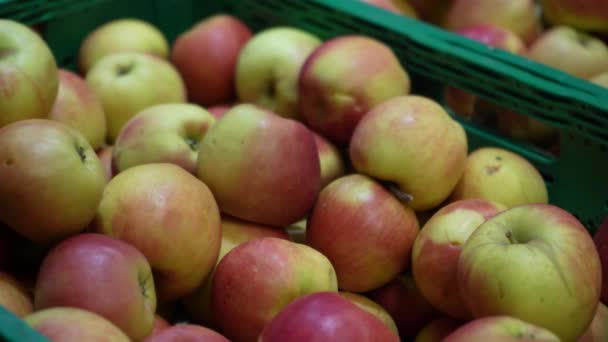 Almidones Recipientes Con Manzanas Maduras Paso Alimentos Supermercado Frutas Naturales — Vídeos de Stock